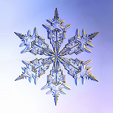 Flake Flake